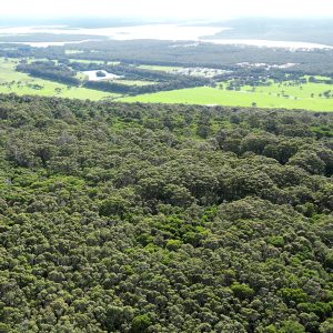 Mountain Flying Personal Dream Interpretation